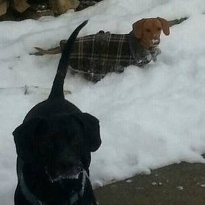 Meet your Posher, Christine